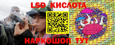 индика Комсомольск-на-Амуре