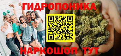 индика Комсомольск-на-Амуре