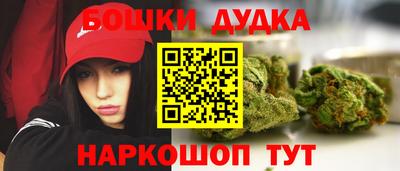 индика Комсомольск-на-Амуре