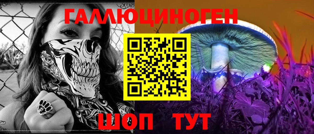 Галлюциногенные грибы GOLDEN TEACHER  Вход с VPN  Кировск 